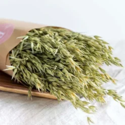 Botte d'avoine vert naturel