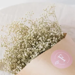 Botte gypsophile naturel