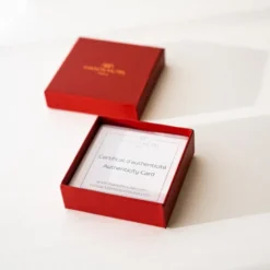Boucles d'oreilles pierre de lune & arg