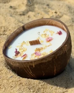 Bougie qui devient plante fleurcerisier