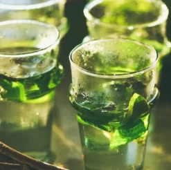 Bougie qui devient plante verveine