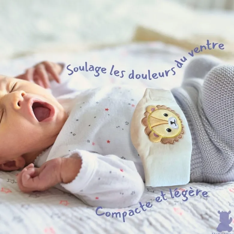 Bouillotte noyaux de cerise bébé (lion)