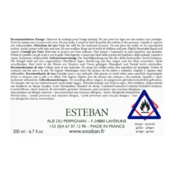 Bouquet parfumé ellipse 200ml