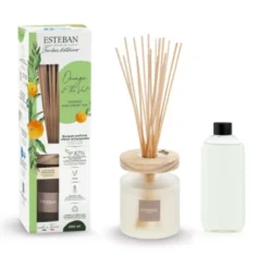 Bouquet parfumé ellipse 200ml