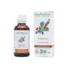 Bourgeons d'argousier 50 ml bio