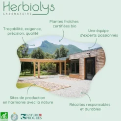 Bourgeons de noisetier 50ml bio