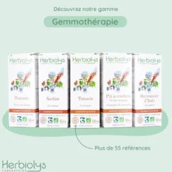 Bourgeons de pin à crochets 50ml bio