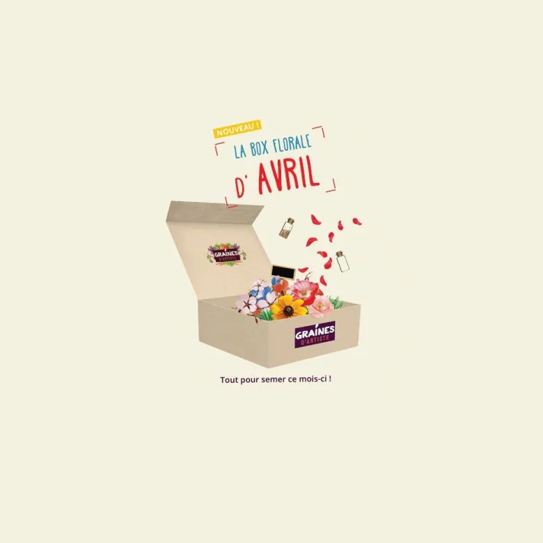 Box graines de fleurs à semer en avril
