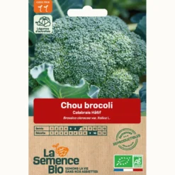 Brocoli calabrais hâtif bio