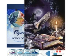 Broderie diamant chouette dans la nuit