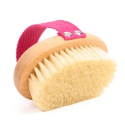 Brosse de massage à sec