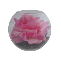 Bulle décorative pour mini-jardin en lév