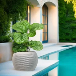 Cache-pot design spirilus blanc