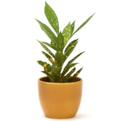Cache pot en céramique jaune 8,5 cm