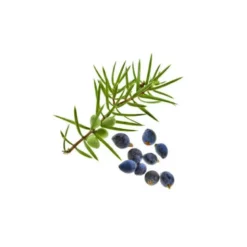 Cade (juniperus oxycedrus) - huile essentielle bio - 10ml garantie chromacert® -