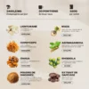 Café adaptogènes brainstoorm goût café