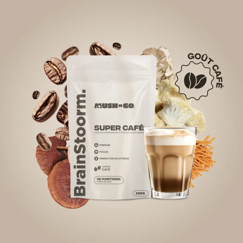 Café adaptogènes brainstoorm goût café