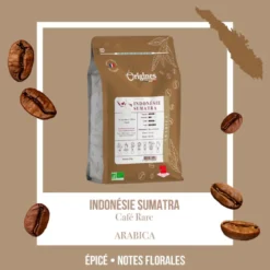 Café rare bio - sumatra gayo - grain 250g