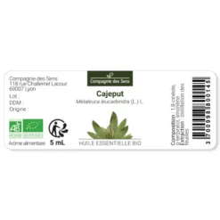 Cajeput (melaleuca leucadendra) - huile essentielle bio - 5ml garantie chromacer