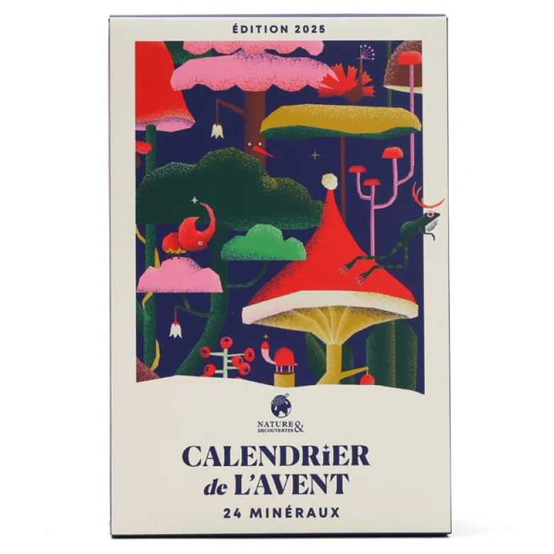 Calendrier de l'Avent 24 minéraux à collectionner