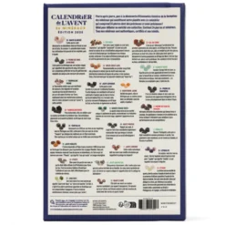 Calendrier de l'Avent 24 minéraux à collectionner