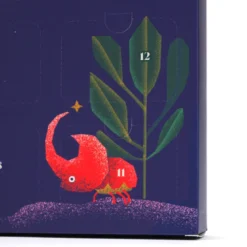 Calendrier de l'Avent 24 minéraux à collectionner