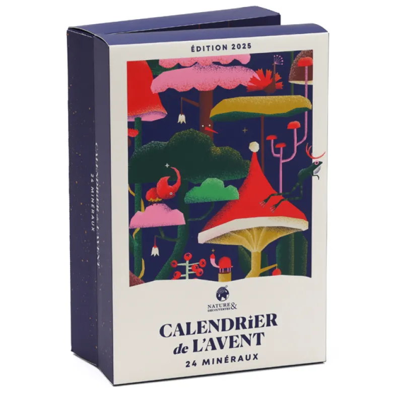 Calendrier de l'Avent 24 minéraux à collectionner