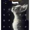 Calendrier mon chat et moi 25 jours