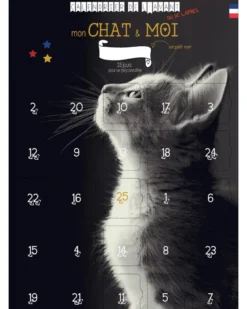 Calendrier mon chat et moi 25 jours