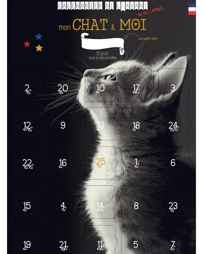 Calendrier mon chat et moi 25 jours