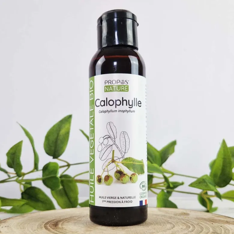 Calophylle (tamanu) bio - huile végétale