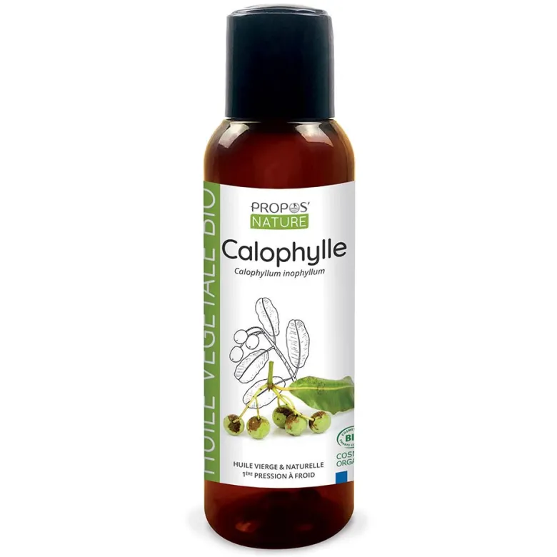 Calophylle (tamanu) bio - huile végétale