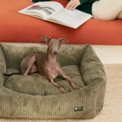 Cama, panier chien chat velours vert s
