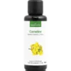 Cameline - huile végétale bio 50ml