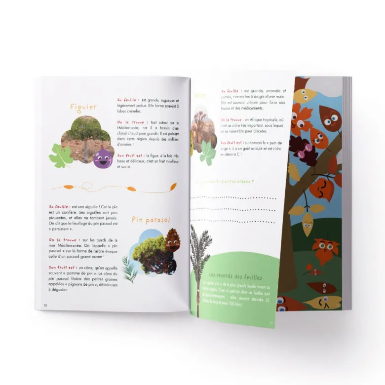 Carnet d'activités - feuilles d'arbres