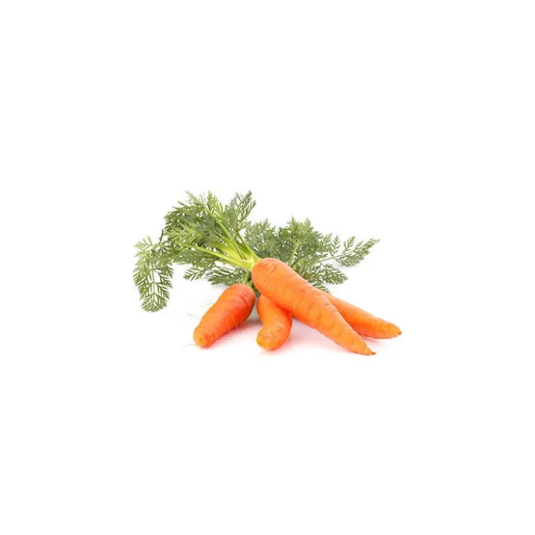 Carotte - macérât huileux bio - 50ml - flacon en verre