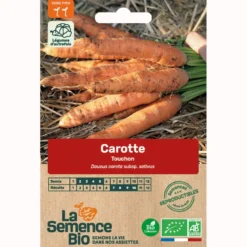 Carotte touchon bio