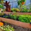 Carré potager bois douglas 126x66x26