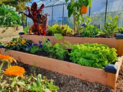 Carré potager bois douglas 126x66x26