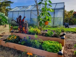 Carré potager bois douglas 126x66x26