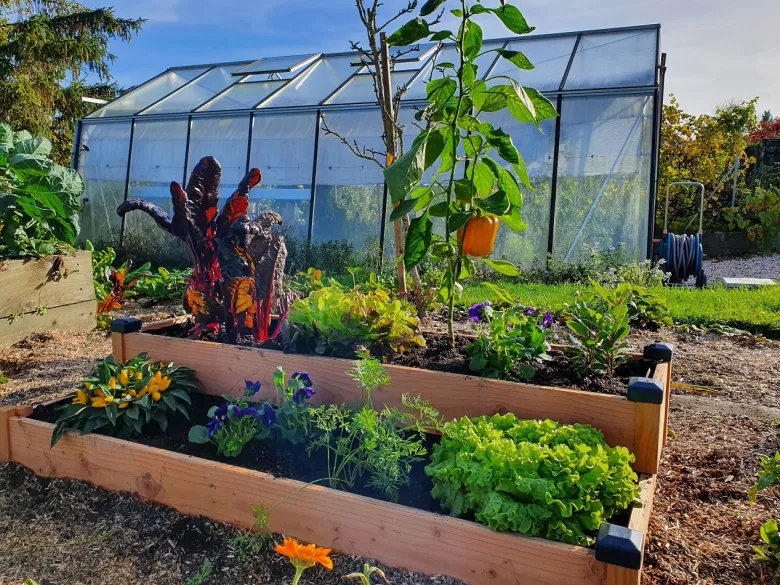 Carré potager bois douglas 126x66x26