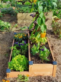 Carré potager bois douglas 126x66x26