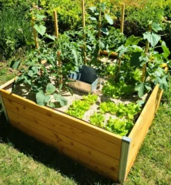 Carré potager bois l120 x l115 x h40