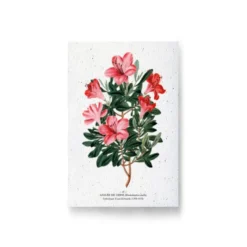 Carte à planter - azalée