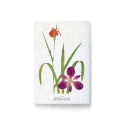 Carte à planter - iris