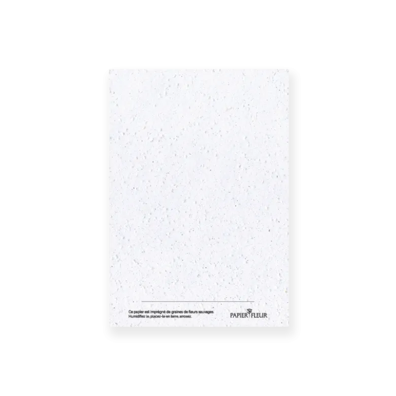 Carte à planter 2026 « joyeux noël »
