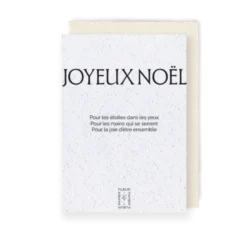 Carte à planter 2026 « joyeux noël »