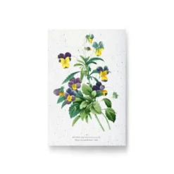 Carte à planter - pensées sauvages