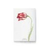 Carte à planter - tulipe