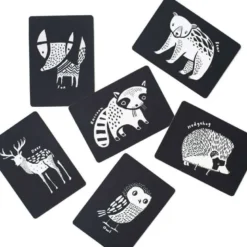 Cartes imagier animaux - animaux forêt